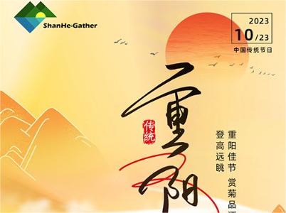 重陽(yáng)節