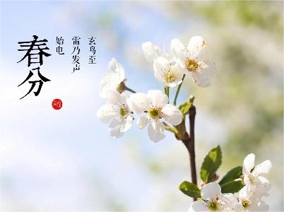 春分——陌上花正艷，春色入中分