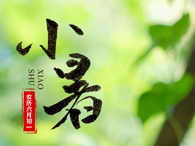 時(shí)惟七月——小暑至，蓮生香